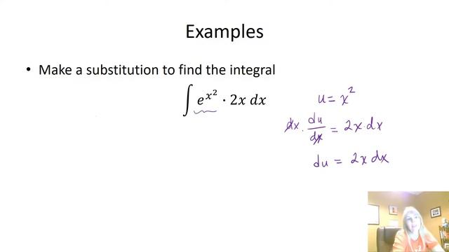 MAT1193 Integration by Substitution