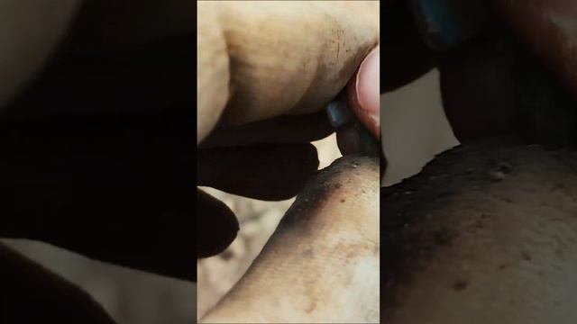 Средневековый крестик, редкая вещица! #metaldetecting #коп #xp  #клад #средневековье