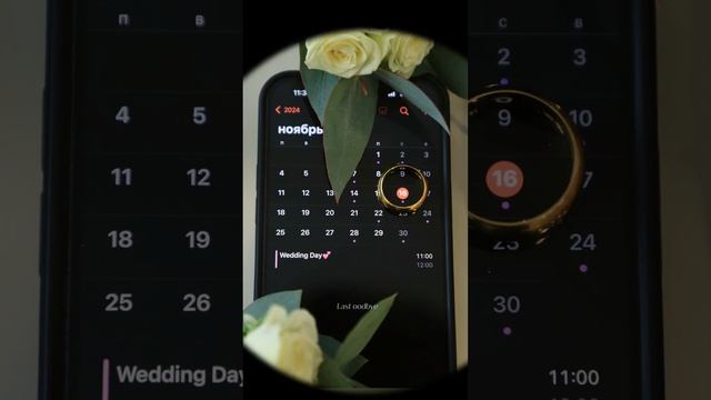 16 ноября 2024 г.
