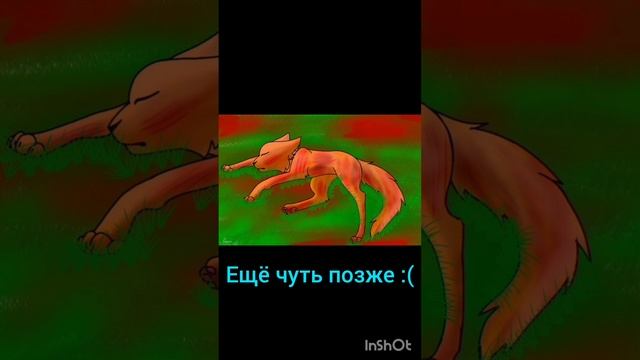 Эдит огнезвёзд и песчаная буря