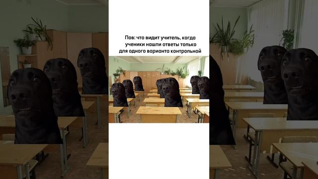 Пов: когда ответы нашли только на один вариант на контрольной