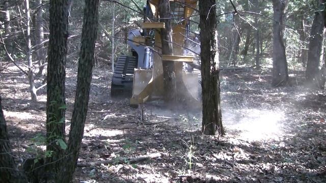 DFM Compact Feller Buncher - Compact Track Loaders