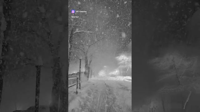 волшебная ночь