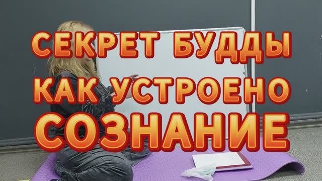 Секрет будды. Как устроено сознание.