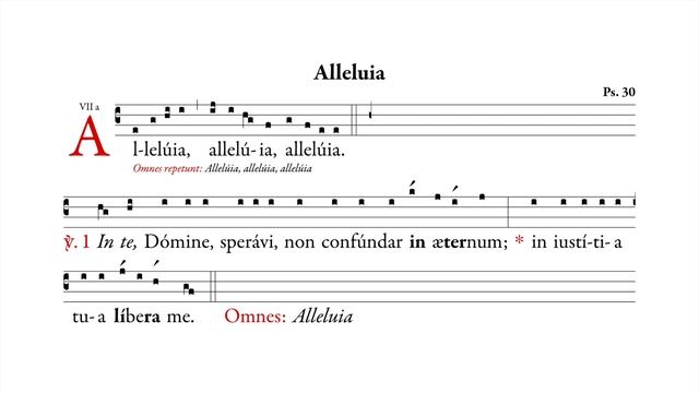 Graduale Simplex - Ordinary Time III
