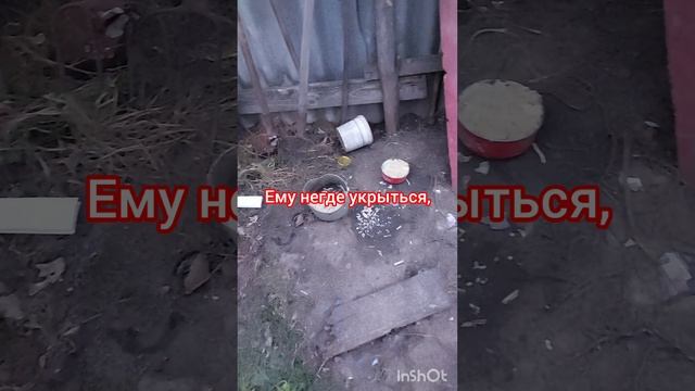 1000347131.mp4