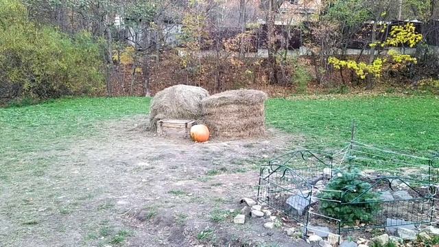 Седанка парк.  г. Владивосток.