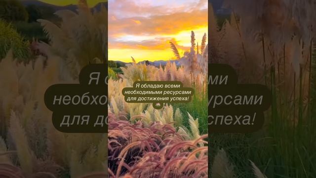 Я обладаю всеми необходимыми ресурсами для достижения успеха