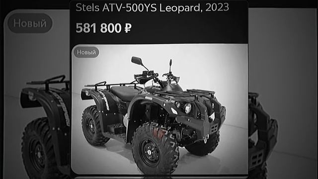 Stels leopard