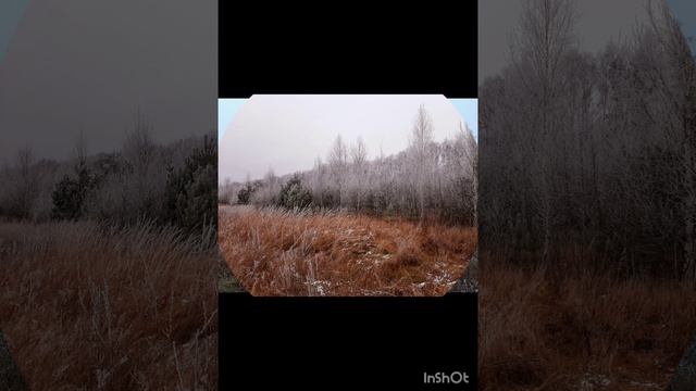 27-11-2024