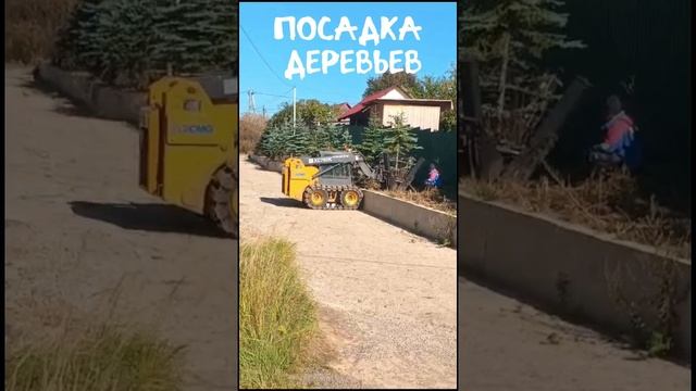 услуги пересадчика деревьев