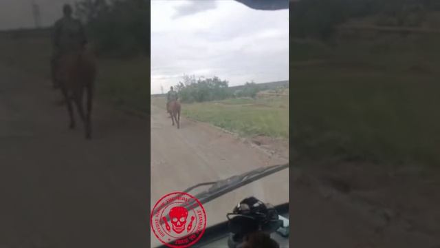 ❗Когда приехала комиссия из округа чтоб изъять все транспортные средства.