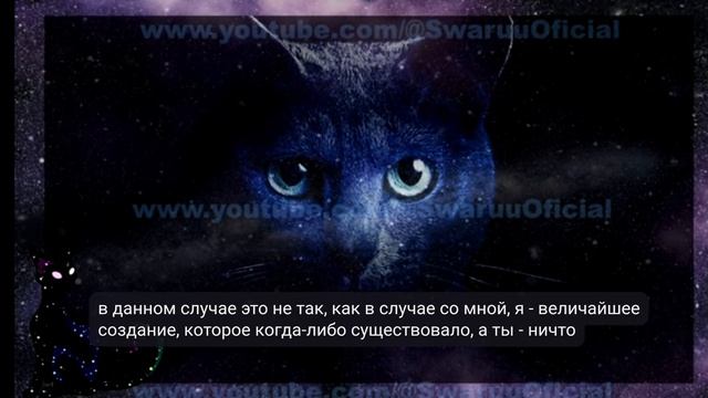 Космический Бог кошек и система духовных убеждений Урмы 13.01.2024 #mariswaruu