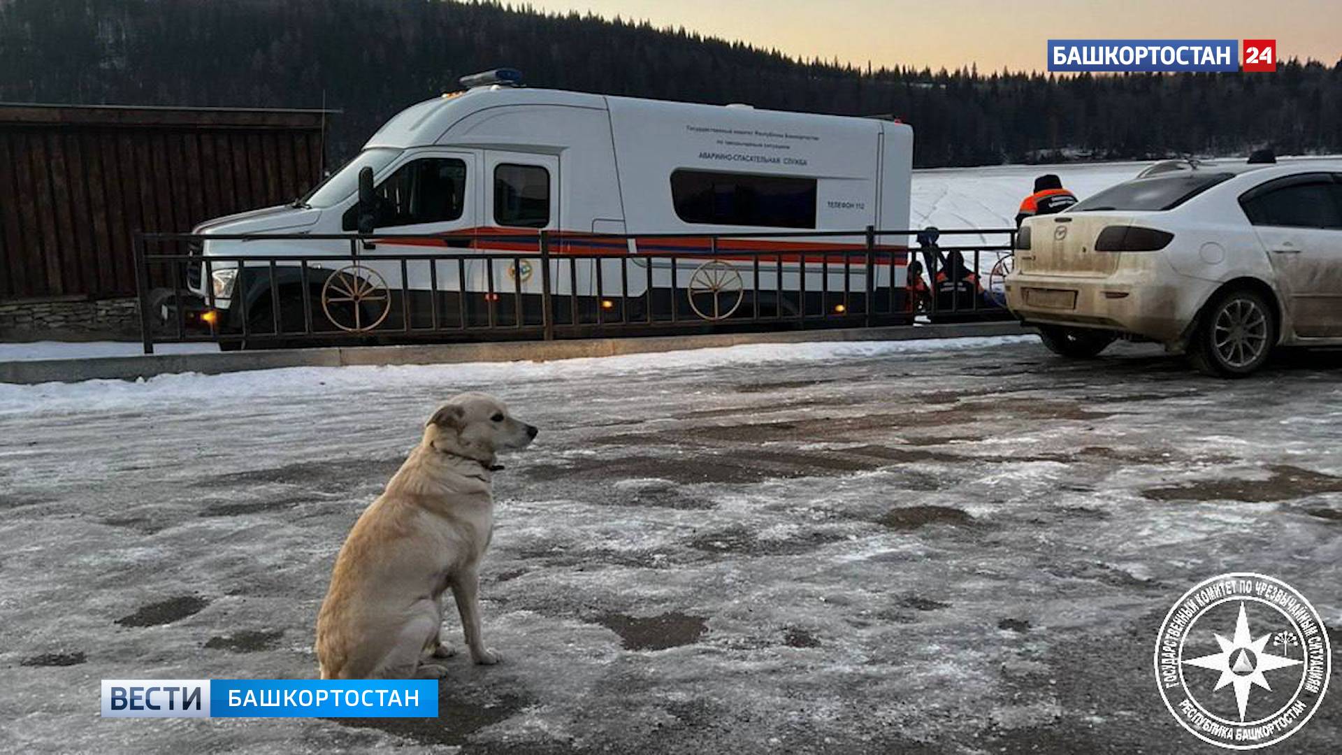 Собака четвертый день ждет провалившегося под лед хозяина в Башкирии