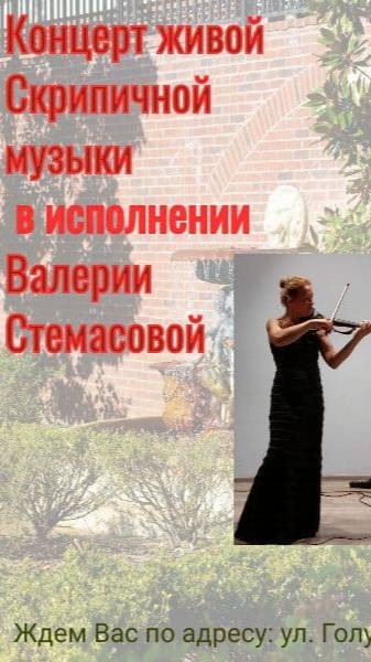 VID_20241118_155248_4