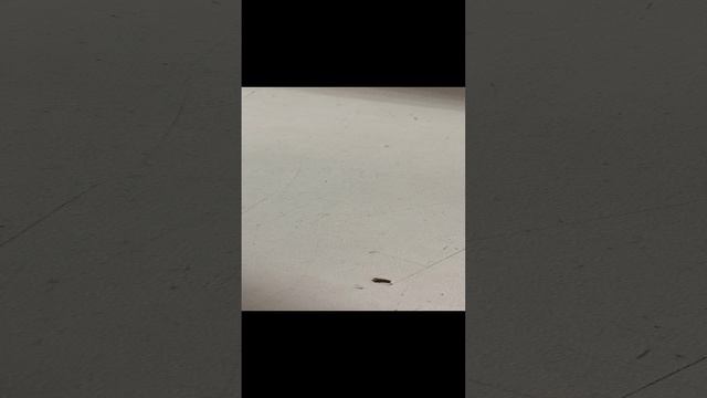 27-11-2024