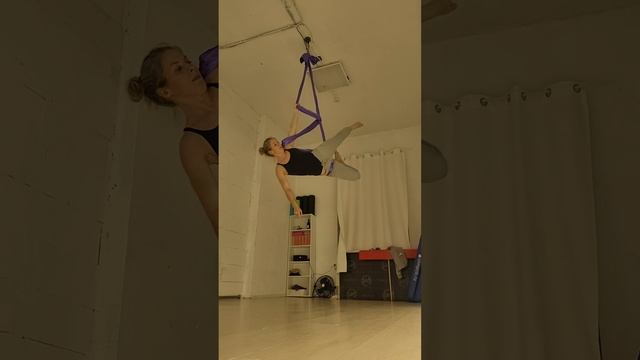 Aerial Hammock 20241122
