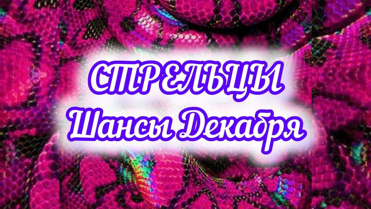 СТРЕЛЬЦЫ - шансы в ДЕКАБРЕ 2024года.