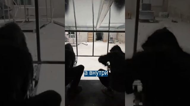 Построили танк, чтобы играть в танки