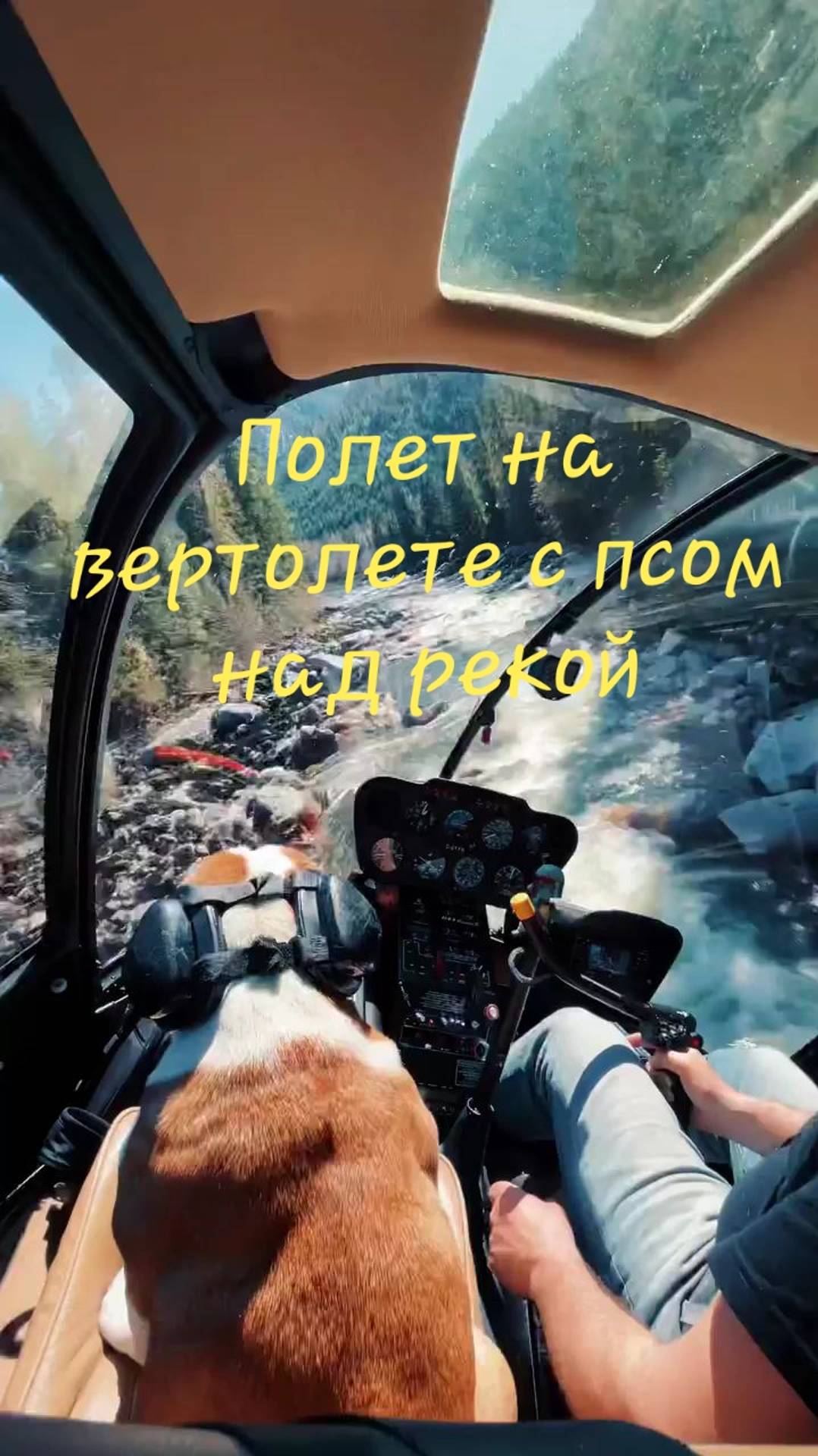 Полет на вертолете с псом над рекой