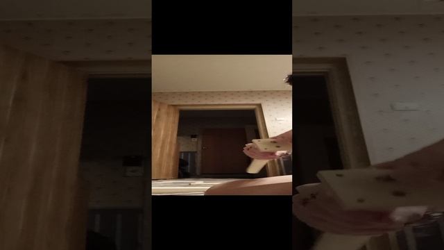 VID_20241127_165910.mp4
