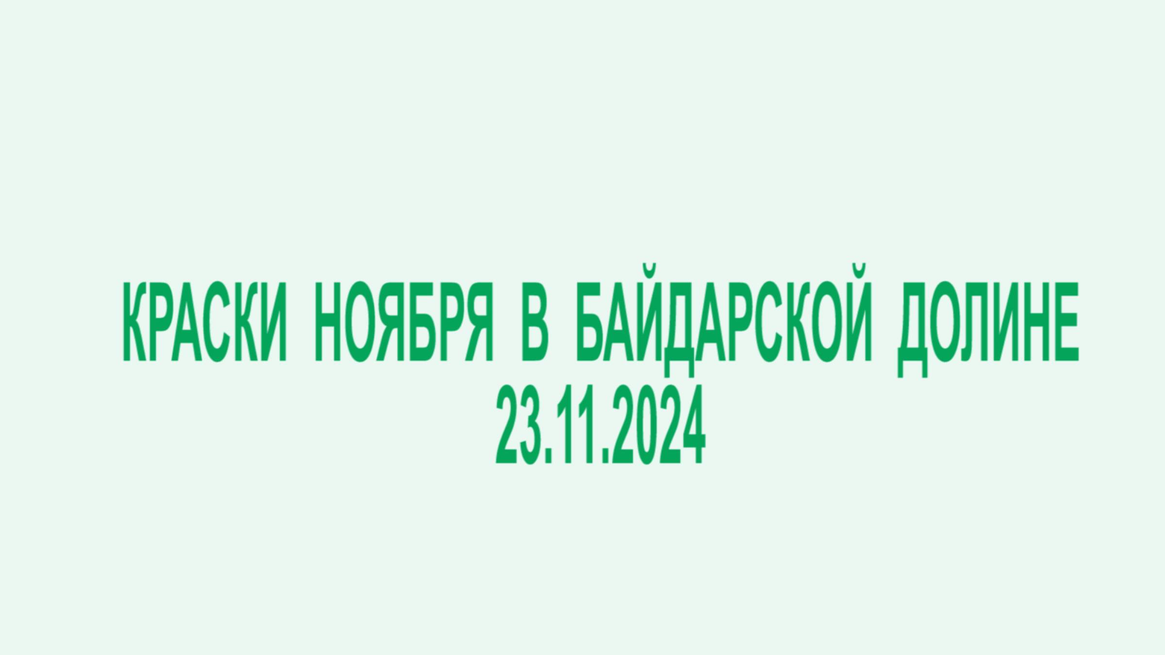 Краски ноября 2024
