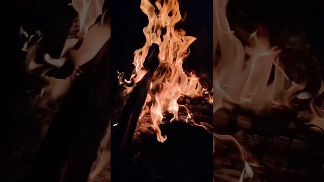 Можно смотреть и слушать вечно ✌🏻.mp4