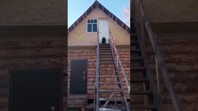 1000046371.mp4