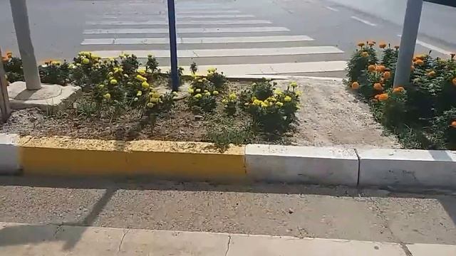 Пешеходный переход в Турции.