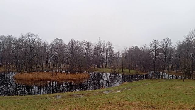 27.11.2024 . Погода Петербург . 10:57 . +5°