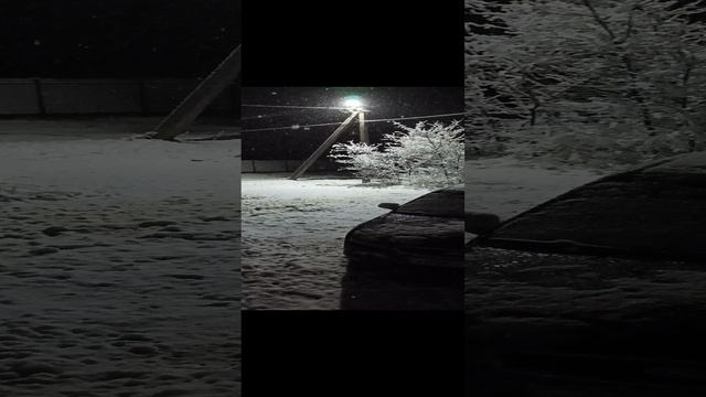 Ранняя зима в Краснодарском крае)))