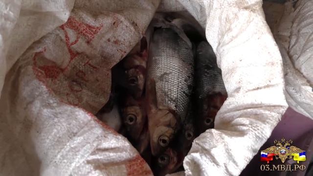 В Бурятии задержали продавцов омуля