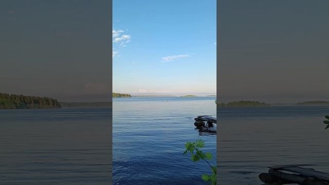 23 ноября 2024 г.