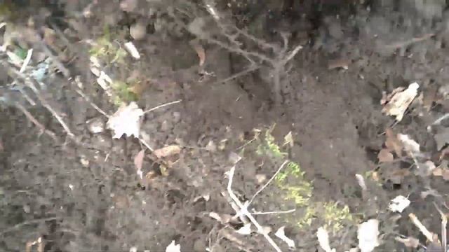 Металлокоп!!! сезон открыт!!!