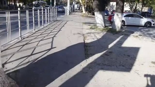 1 - Обзор: Утро доброе. 11.11.24 - Ни снежинки, ни дождинки, Новоросс, Новоросс, Новоросс-рос-рос. )