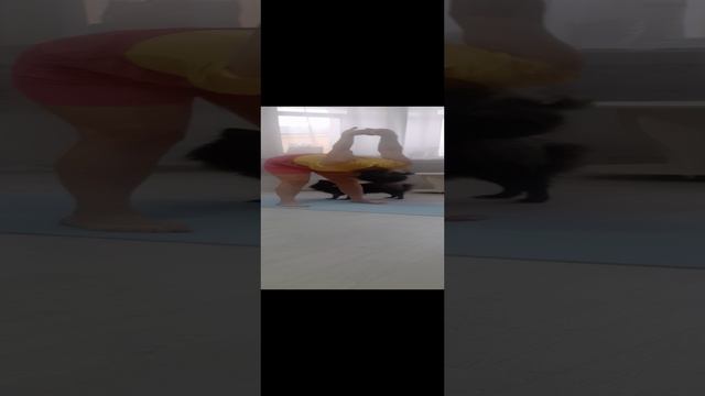 20241123_120123_001.mp4
