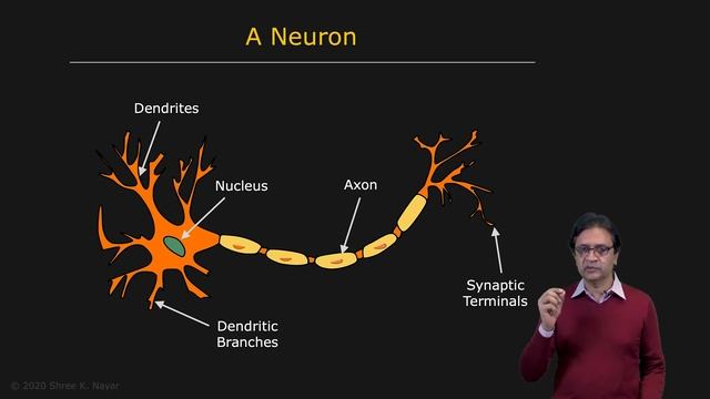 137 - Neural Networks - Overview