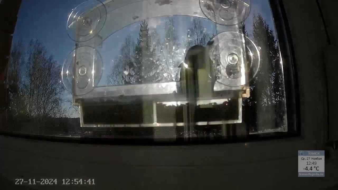 Кормушечка 27.11.2024