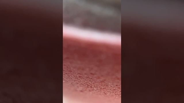 VID_20241127_191008_023.mp4