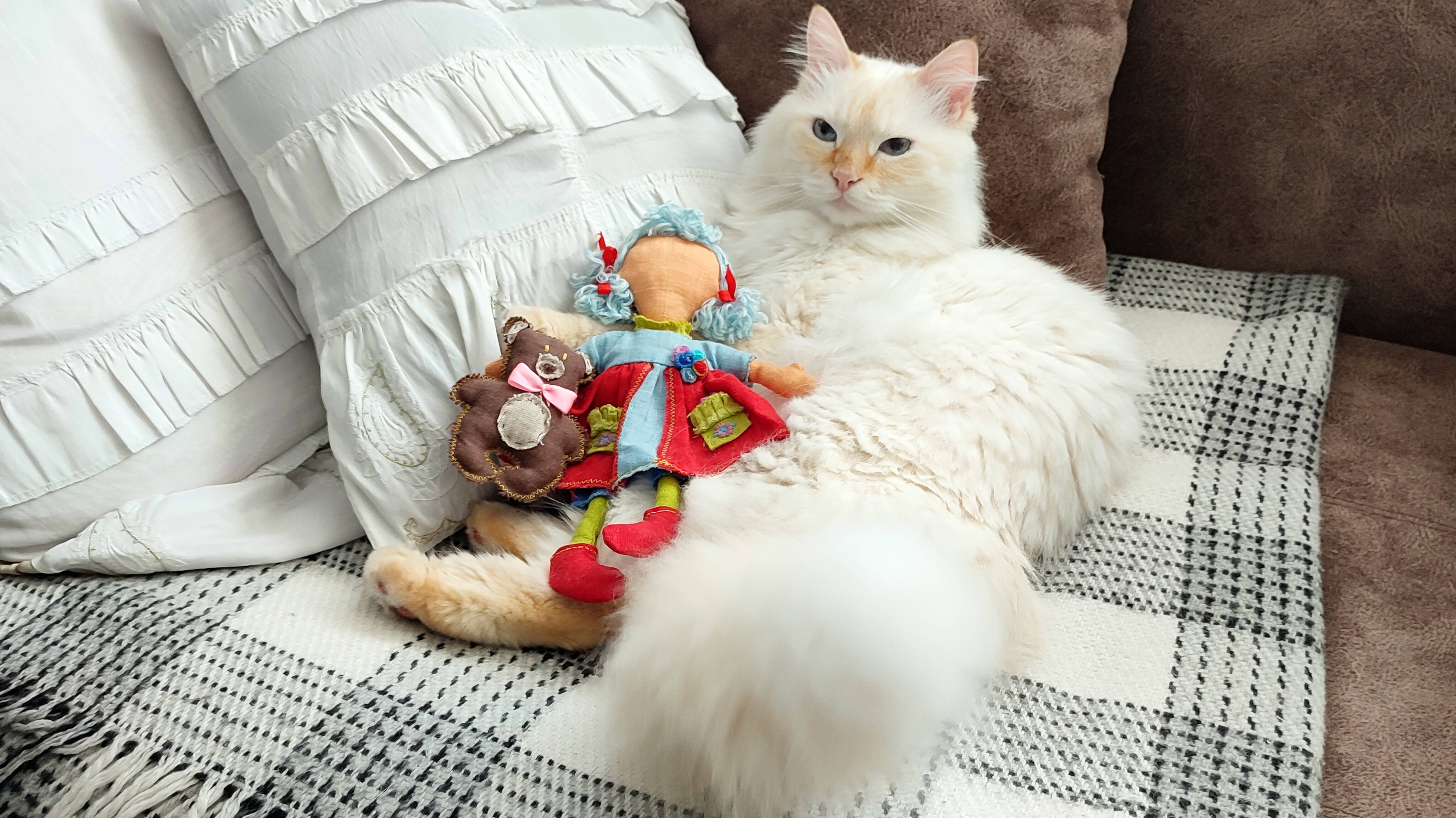У кота Стёпы игрушек.. как на его носу веснушек
