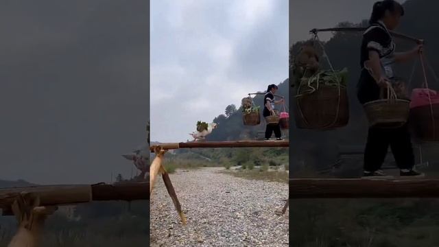 VID_20241126_140657_135.mp4