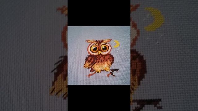 1000058273.mp4