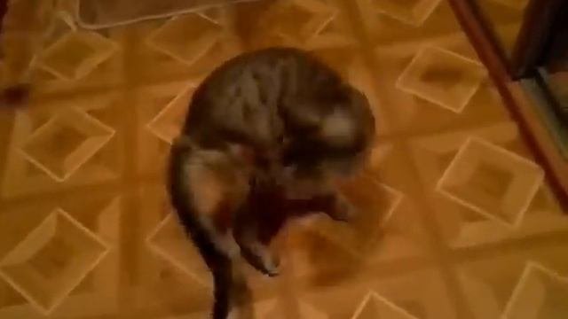 Счастливый и здоровый КУЗЯ!