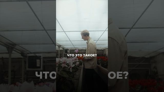 Познавательный факт в конце!
