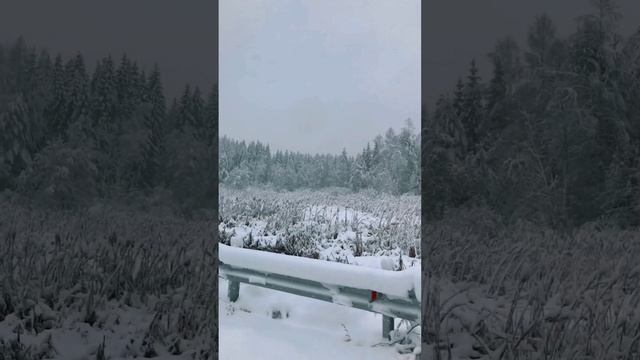 Путешествие на Ниве в снегопад