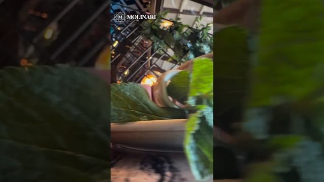 Время согреваться вкусным чаем. Для вас ароматное зимнее предложение