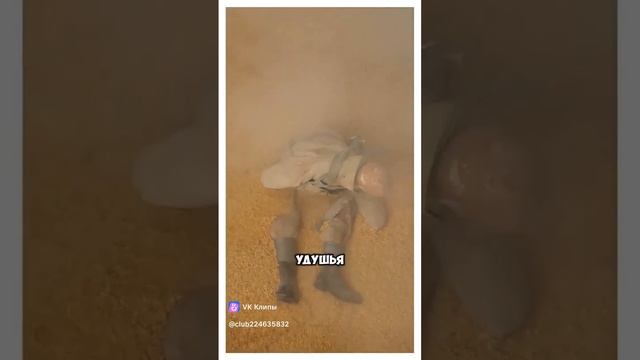 clip-224635832_456241061.mp4