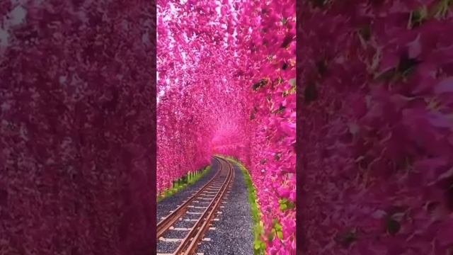 Волшебные железнодорожные трассы. Ючи, Тайвань 🇹🇼