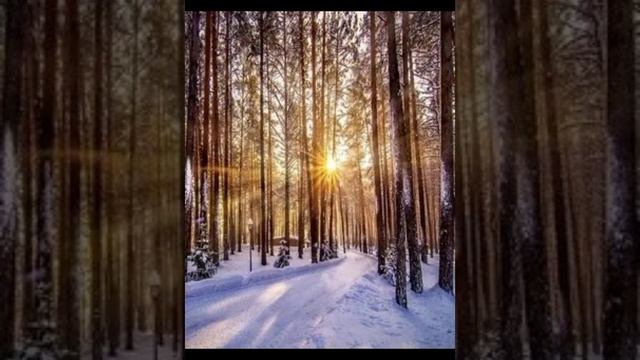 lv_0_20241127212910.mp4