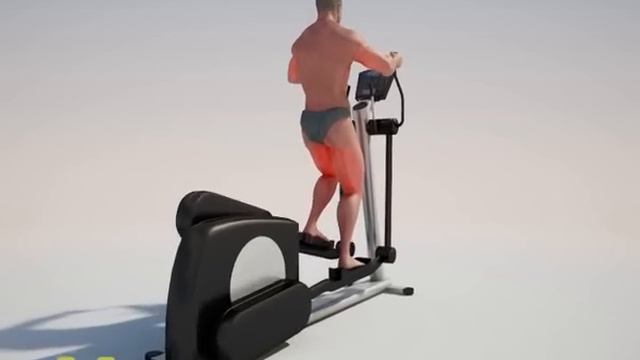 Ellipse / exercise on the ellipse (active-gym.com)
